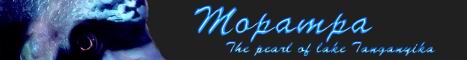 Mopampa Forum